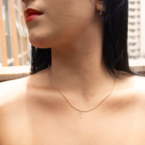 Colar de Aço Conquista 45cm IPG