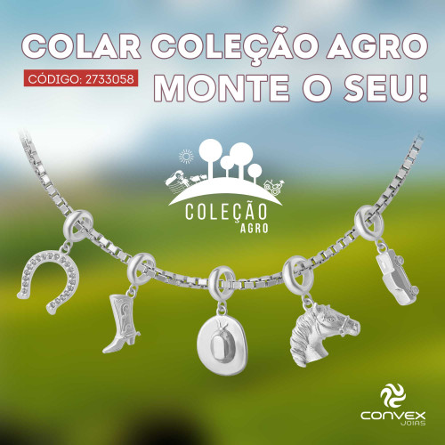 Colar de Prata  Coleção Agro