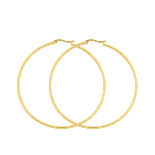 Brinco de Aço Argola Grande IPG 65mm