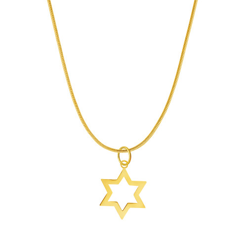 Colar de Aço Energia 45cm IPG